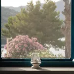 Villa Casa Picimenti Zakynthos Luxury Ground Floor Swimming Pool